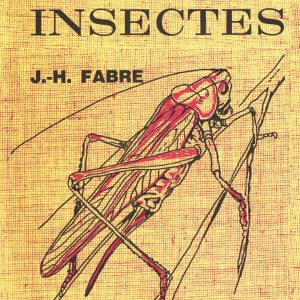 L’instinct chez les insectes